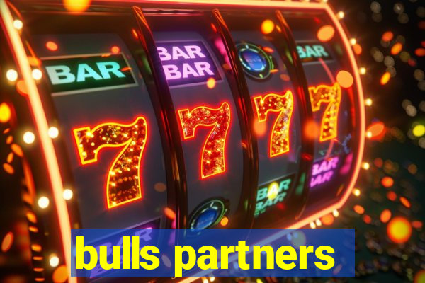 bulls partners